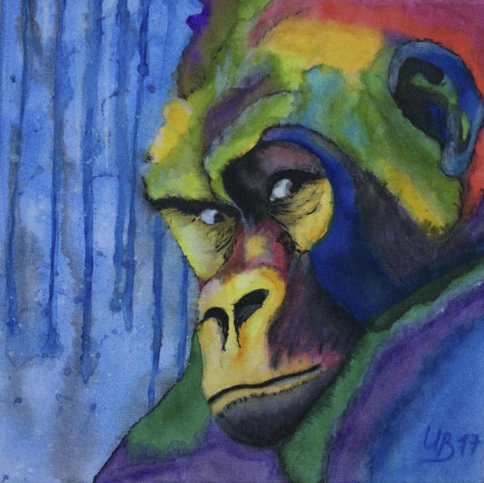 Bunter Gorilla